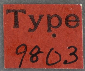 Media type: image; Entomology 9803   Aspect: labels 2